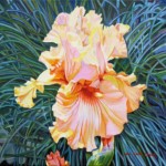Oil On Canvas