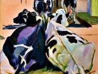 Cows