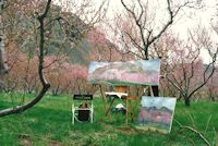 Jan Cook Mack Painting In The Appricots